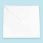 Craft Entered Apprentice Lambskin Apron