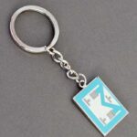 Past Master Apron Keyring.
